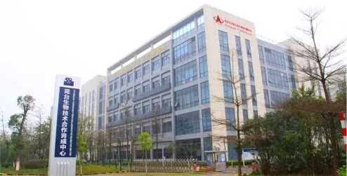 1589200952298640.jpg 2.webp.jpg