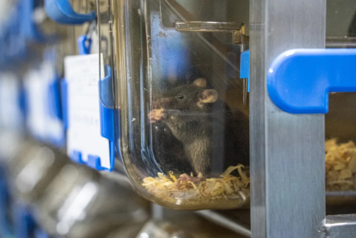 1630373934600250.png image.png