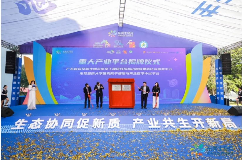 1734576798182024.png image.png